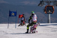 DerKreischer2022_121