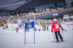 PP_20260321_DerKreischer26_4457