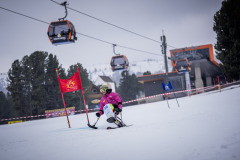 PP_20260321_DerKreischer26_5085